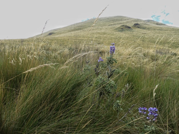 Processed with Snapseed.