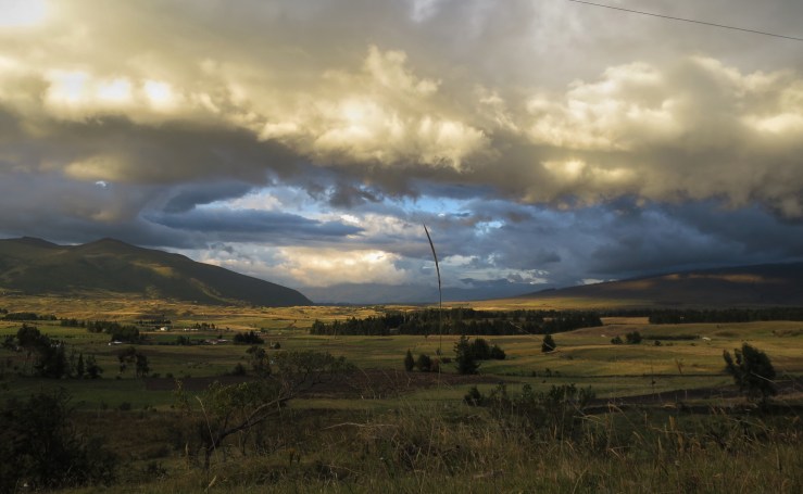 Processed with Snapseed.