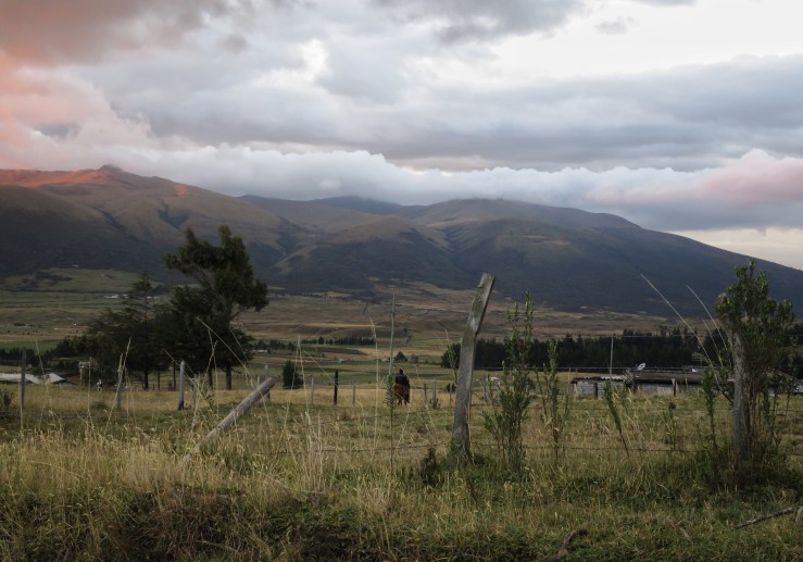 Processed with Snapseed.