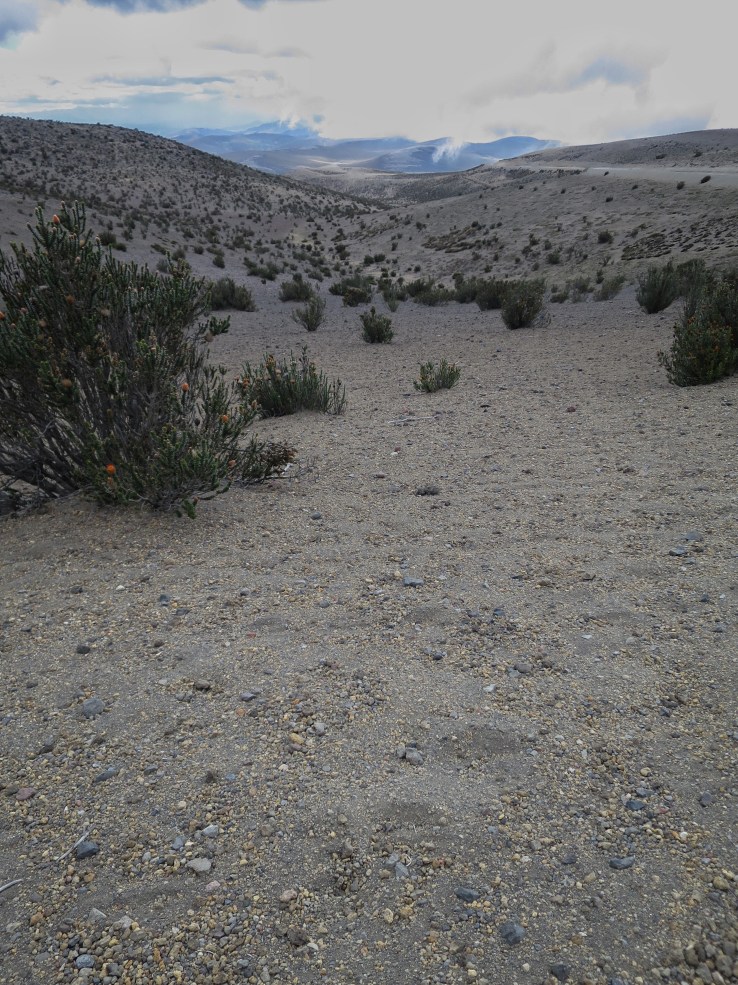 Processed with Snapseed.