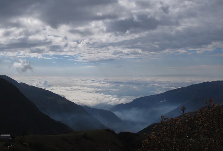 Processed with Snapseed.