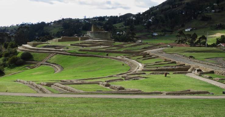 Processed with Snapseed.