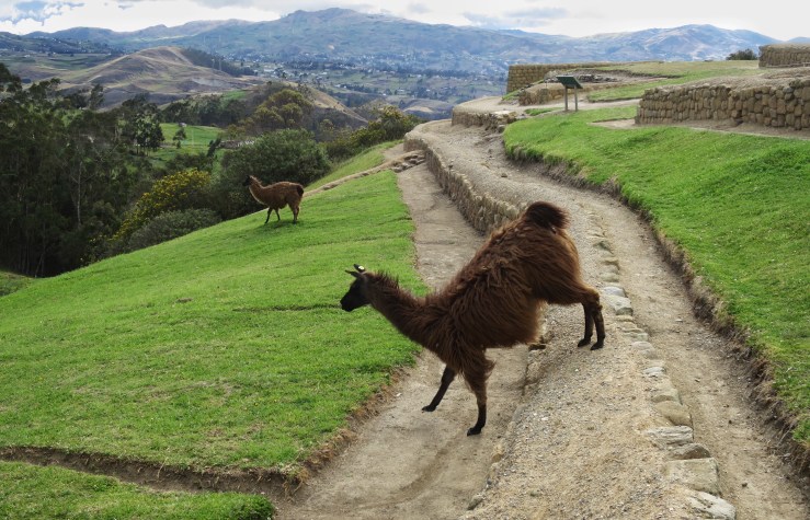 Processed with Snapseed.