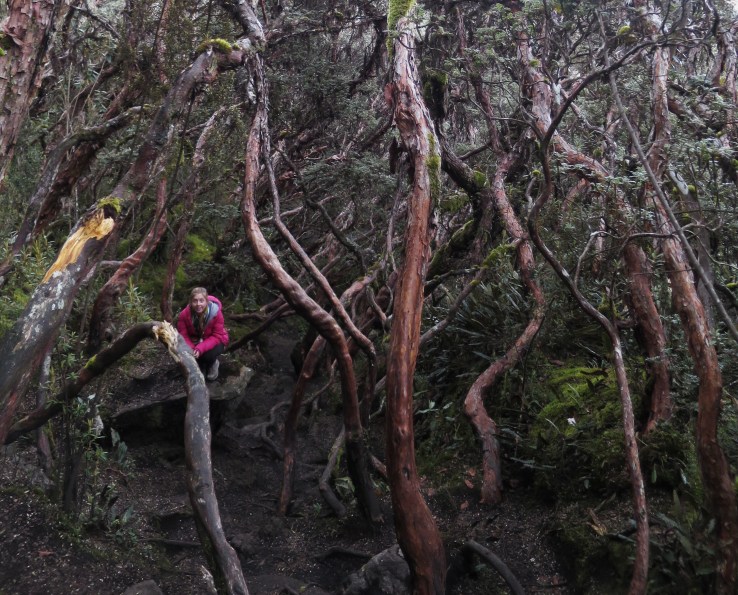 Processed with Snapseed.