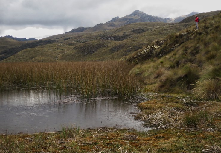 Processed with Snapseed.